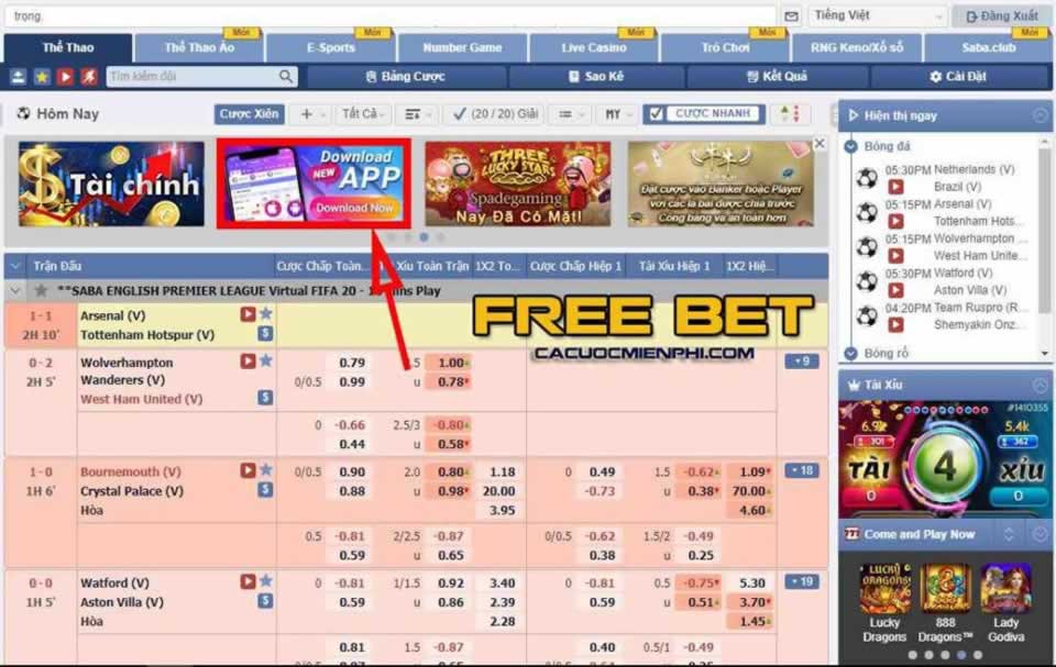 Tỷ lệ cược trận đấu bóng đá cấp độ Vn88 - Vn88