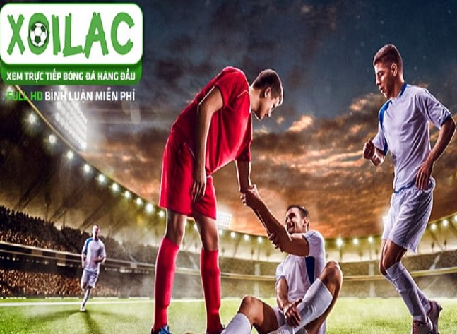 Xu hướng phát triển của Tập đoàn 88Clb - 88Clb