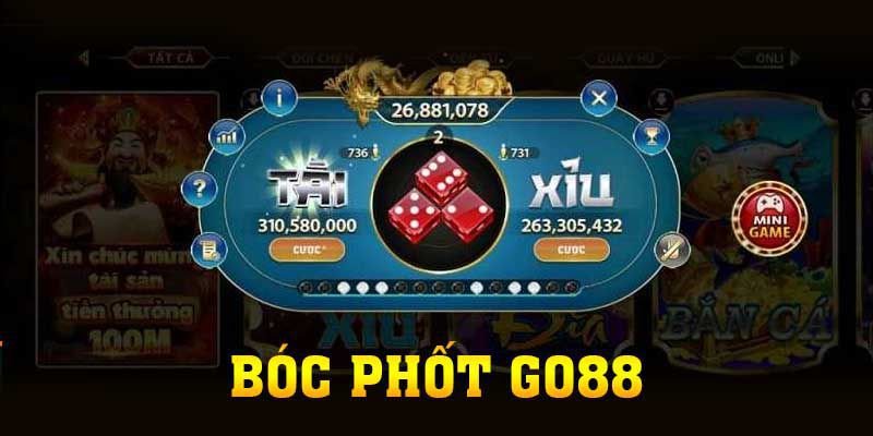 Trang web của Vl88 có thông tin về tất cả các khu cắm trại - Vl88