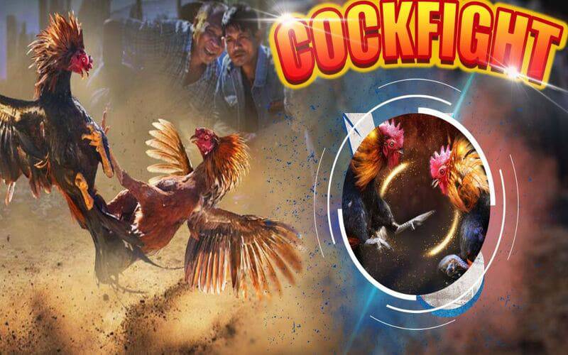 Hướng dẫn cách đăng ký dùng thử 89Bet - 89Bet