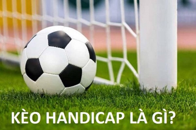 Cần đáp ứng những điều kiện gì để trở thành nhà phân phối 84Win? - 84Win