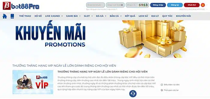 Giới thiệu các giá trị cốt lõi của Vz99 - Vz99