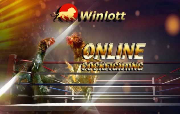 Rw88 VIP thực sự là một thiên đường kết hợp giữa giải trí và phần thưởng - Rw88