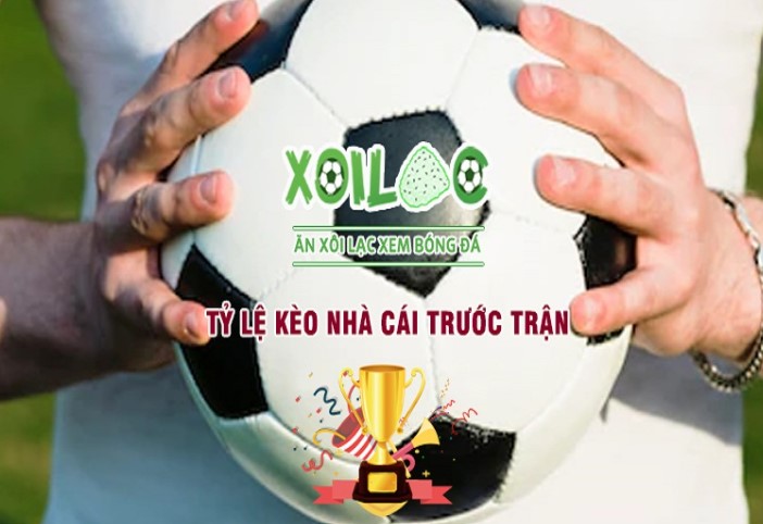 Trang chủ của Dk8 có rất nhiều hoạt động khuyến mãi hấp dẫn - Dk8