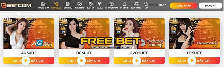 Xếp hạng 911Win, hỗ trợ nạp và rút tiền nhanh chóng - 911Win