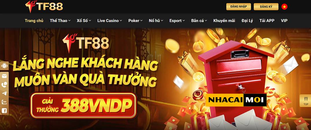 Cơ hội và lợi ích khi tận dụng các hoạt động quảng bá của Vg99 - Vg99