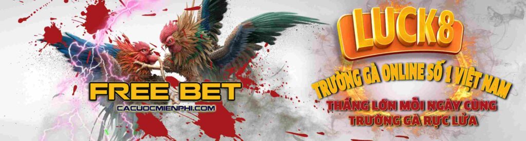 007Win đã triển khai một số hoạt động quảng bá - 007Win
