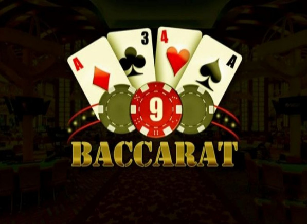 Tại sao bạn muốn tham gia một cuộc thi đá gà cấp độ Dafabet? - Dafabet