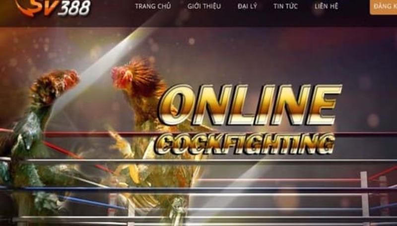 Hướng dẫn bắn súng săn cá cấp độ K8vn dành cho người mới bắt đầu - K8vn