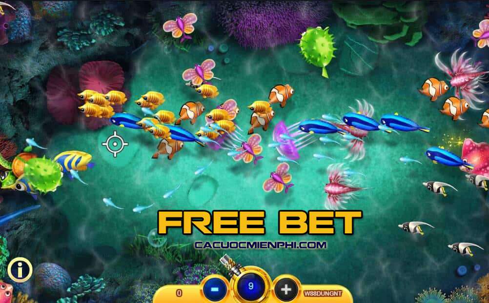 Tôi có thể chơi các game cấp độ Asia99 trên điện thoại của mình không? - Asia99