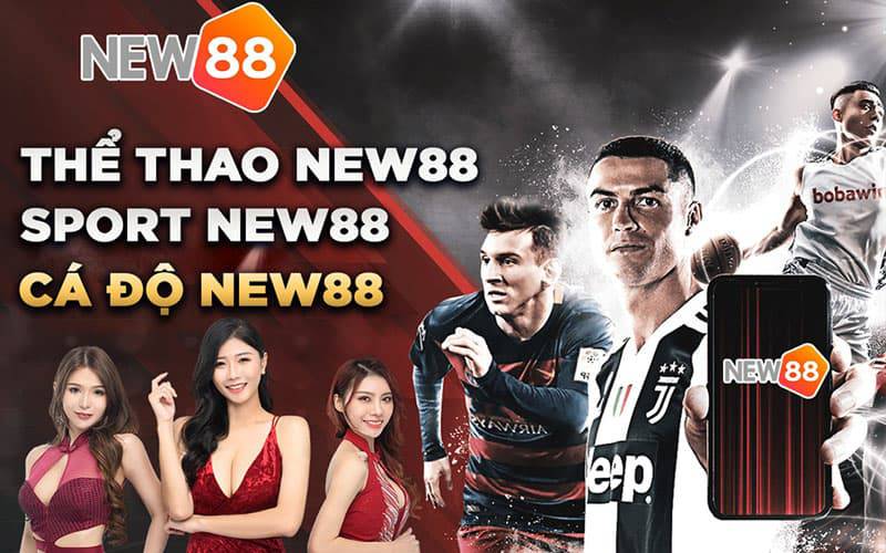 Sản phẩm nền tảng giải trí trực tuyến D9bet - D9bet
