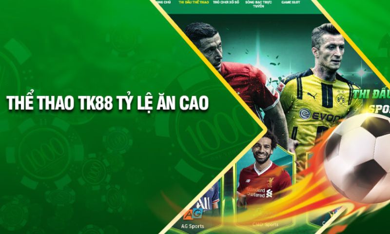 Giới thiệu Cổng trò chơi thẻ bài Ricwin - Ricwin