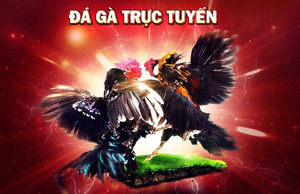 Hướng dẫn nạp và rút tiền trực tuyến C54 - C54