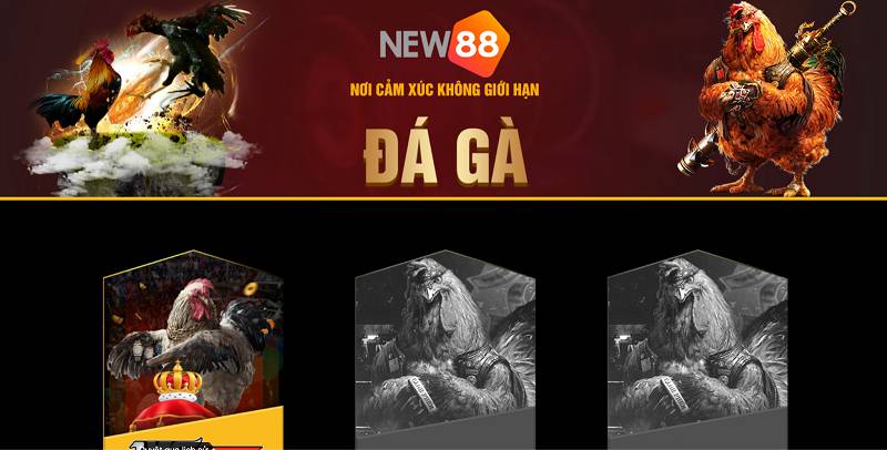 Những luật bạn cần biết để chơi trò chơi bắn cá cấp độ Bet88 - Bet88