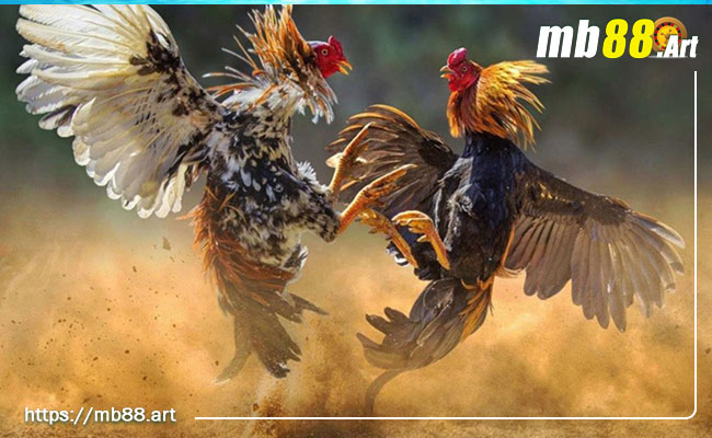 Làm thế nào để nạp tiền vào tài khoản để thưởng thức các tựa game Mmwin? - Mmwin