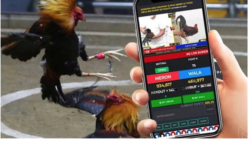 33Win cung cấp các trò chơi chất lượng cao và hấp dẫn - 33Win